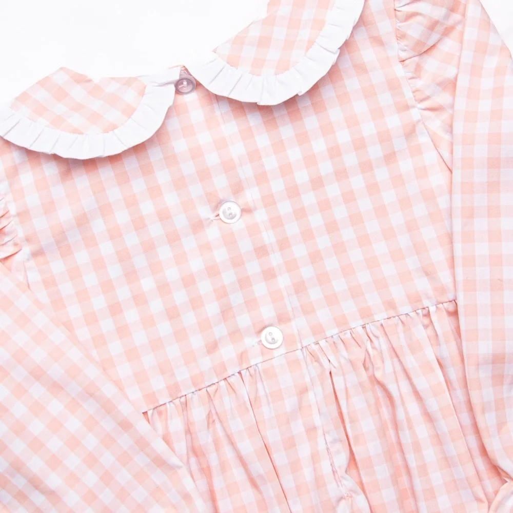Stitchy Fish corral gingham